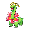 メガニウム